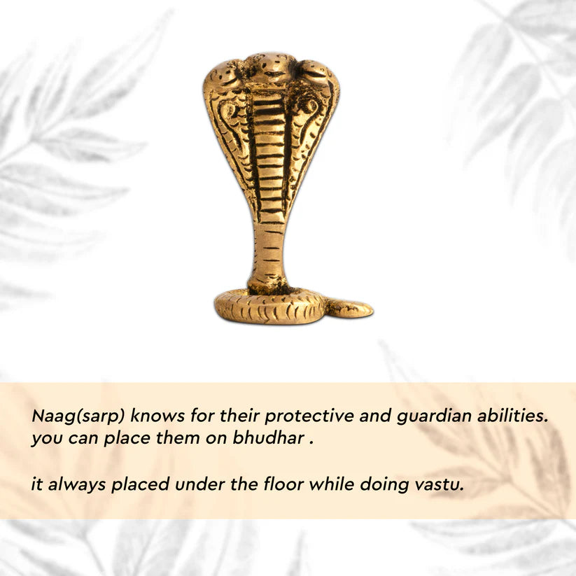 vastu mandir snake, vastu mandir brass snake, brass shasnaag ji, vastu brass idol, brass items, home decor, table showpiece