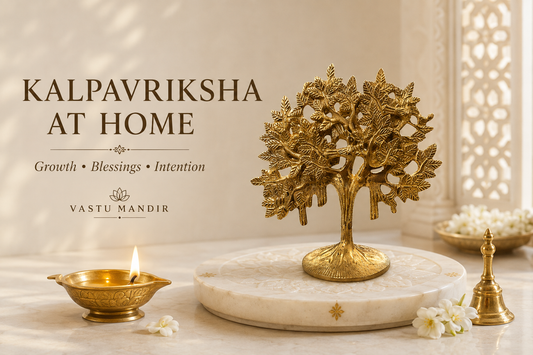 Kalpavriksha Tree at Home as per Vastu: Meaning, Placement, and What to Avoid