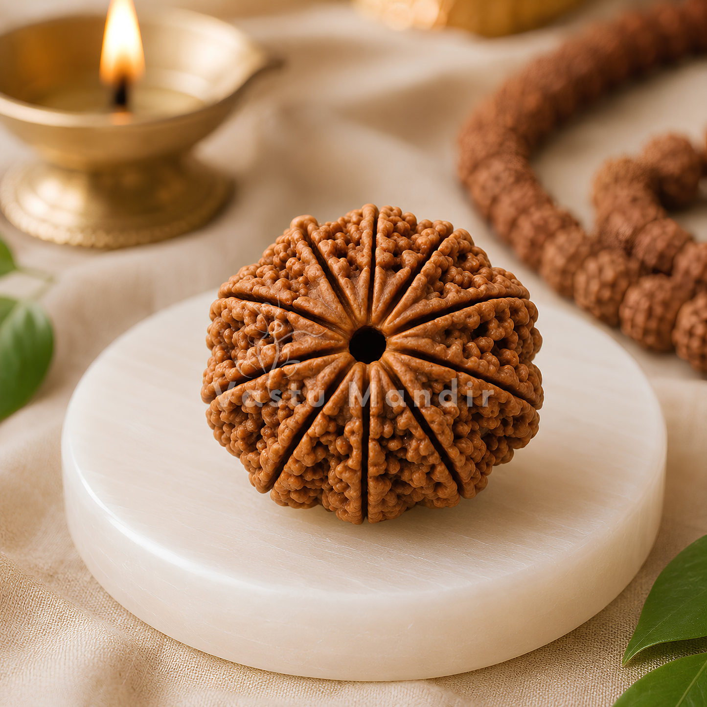Lab Certified 10 Mukhi Rudraksha – Vastu Remedy for Evil Eye Protection & Peace | Ideal for Main Door & Vishnu Altars