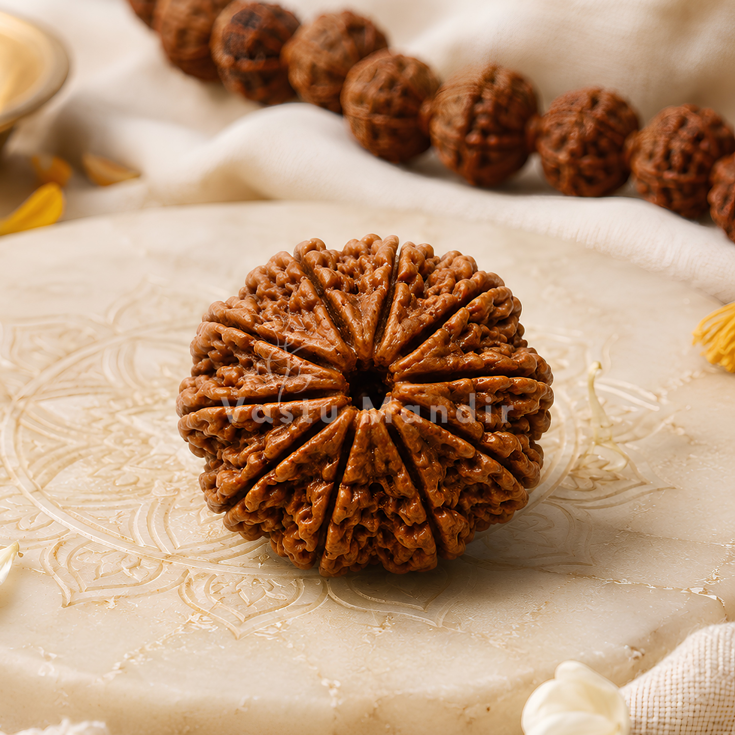 Lab Certified 10 Mukhi Rudraksha – Vastu Remedy for Evil Eye Protection & Peace | Ideal for Main Door & Vishnu Altars