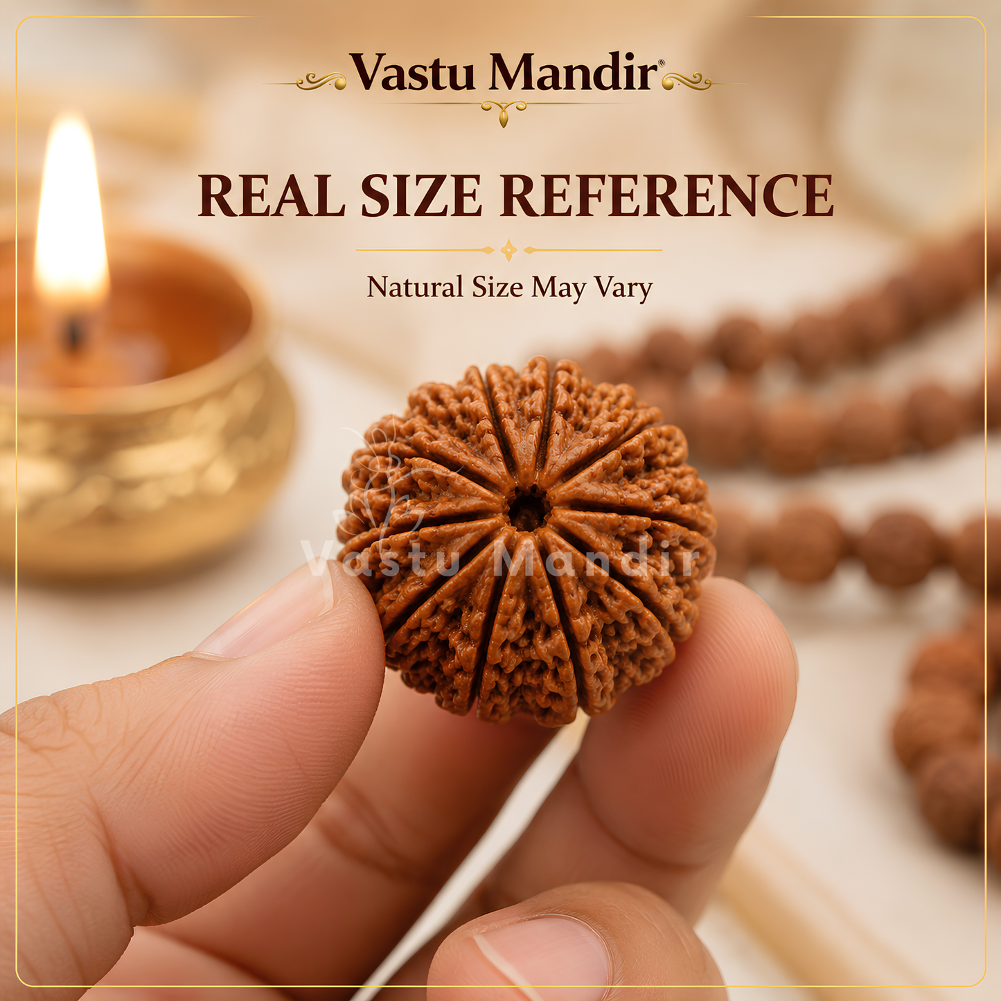 Lab Certified 10 Mukhi Rudraksha – Vastu Remedy for Evil Eye Protection & Peace | Ideal for Main Door & Vishnu Altars