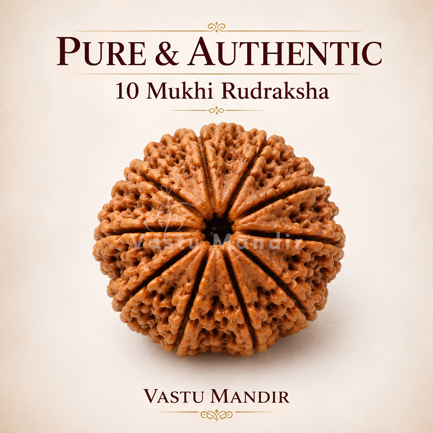 Lab Certified 10 Mukhi Rudraksha – Vastu Remedy for Evil Eye Protection & Peace | Ideal for Main Door & Vishnu Altars