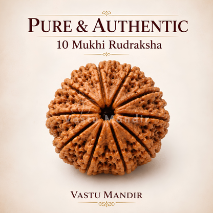 Lab Certified 10 Mukhi Rudraksha – Vastu Remedy for Evil Eye Protection & Peace | Ideal for Main Door & Vishnu Altars
