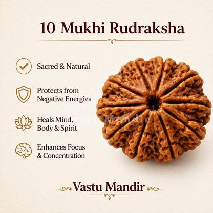 Lab Certified 10 Mukhi Rudraksha – Vastu Remedy for Evil Eye Protection & Peace | Ideal for Main Door & Vishnu Altars