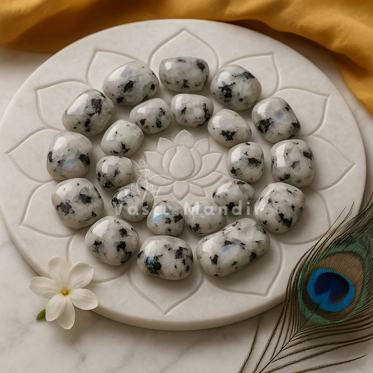 Chandrajyoti Rainbow Moonstone