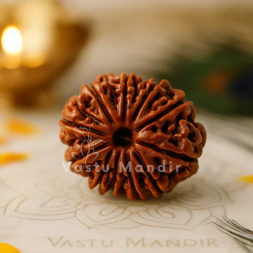 11 Mukhi Rudraksha bead on a decorative surface with 'Vastu Mandir' branding.