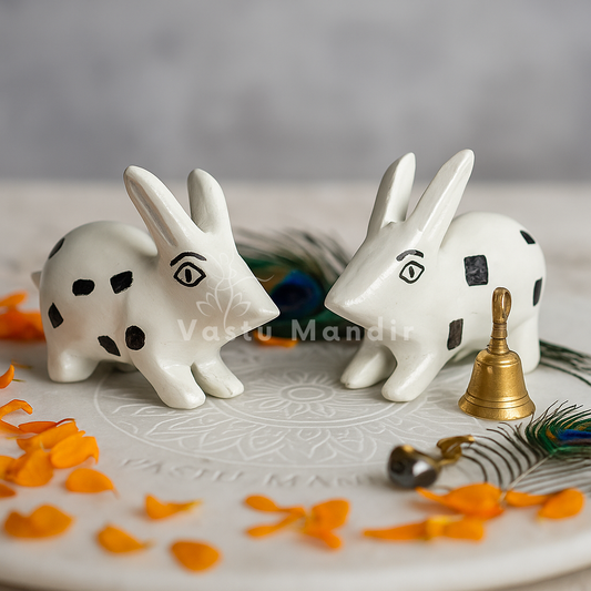 Pair of Rabbit's 100% Pure Brass Statue Idol Decorative Showpiece for Home, Office and Gifting by Vastu Mandir