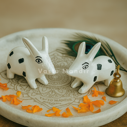 Pair of Rabbit's 100% Pure Brass Statue Idol Decorative Showpiece for Home, Office and Gifting by Vastu Mandir
