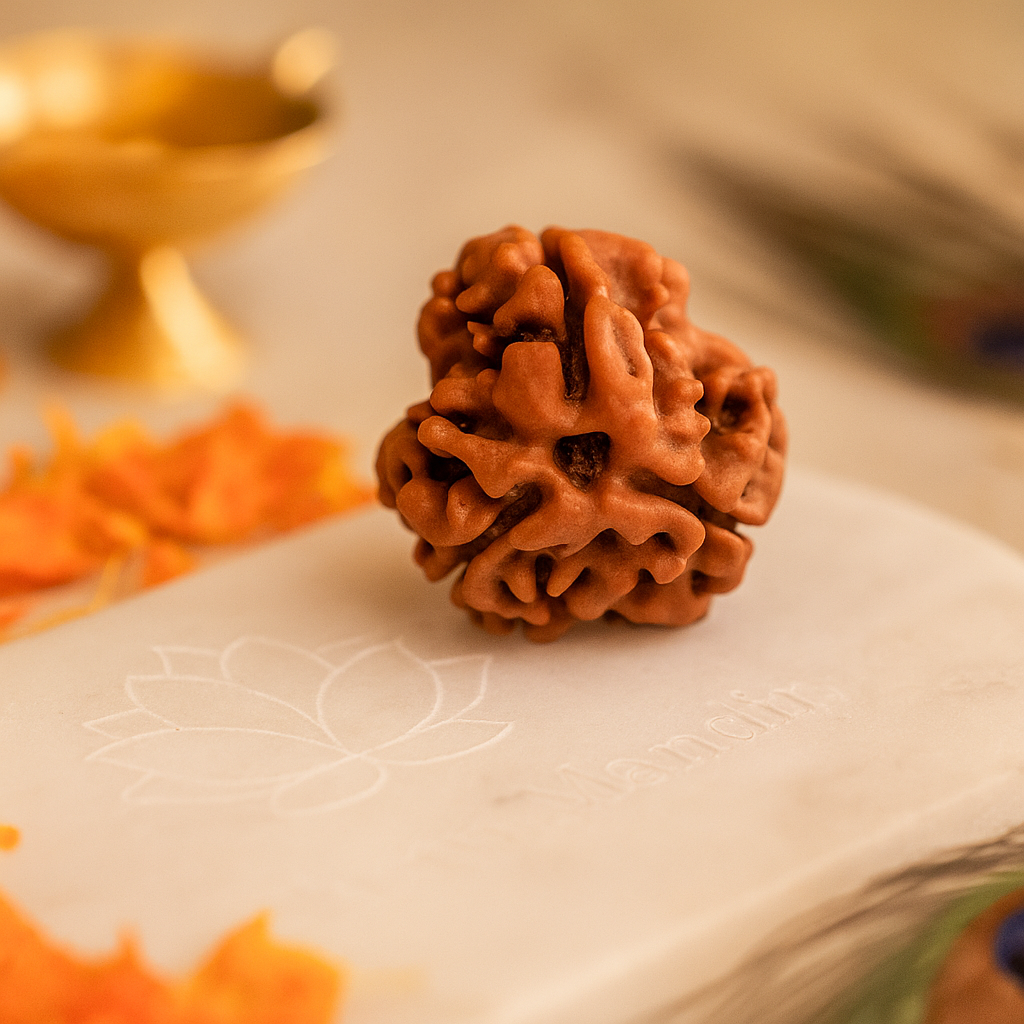 3 faced Brown rudraksha bead on a white surface with blurred background