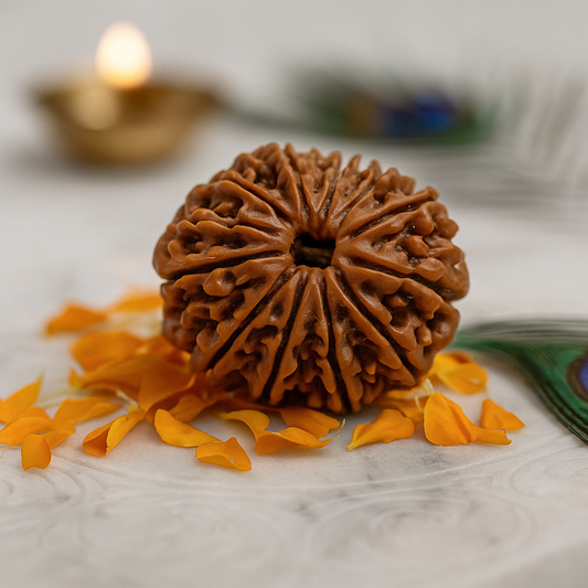 Brown Rudraksha with 10 faces on a white surface with orange petals and a blurred background