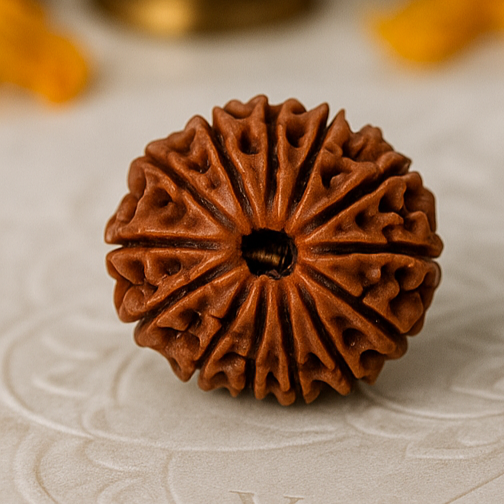 10 faced Rudraksha on a textured surface with 'Vastu Mandir' branding, candles, and flowers in the background.