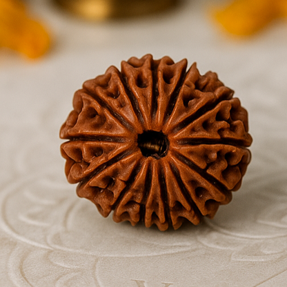 10 faced Rudraksha on a textured surface with 'Vastu Mandir' branding, candles, and flowers in the background.