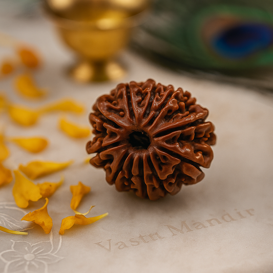 Original 11 Mukhi Rudraksha bead blessed by Lord Hanuman for strength and protection – Vastu Mandir