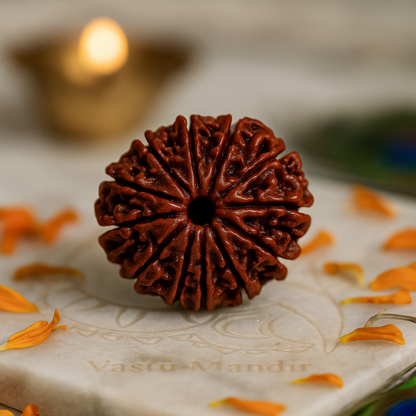 11 Mukhi Rudraksha – Original Eleven Face Rudraksha Bead for Strength, Wisdom & Spiritual Power by Vastu Mandir