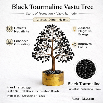 Black Tourmaline Crystal Tree – Vastu Remedy for Energy Protection | Entrance Purification | 300 Beads | 10 Inch