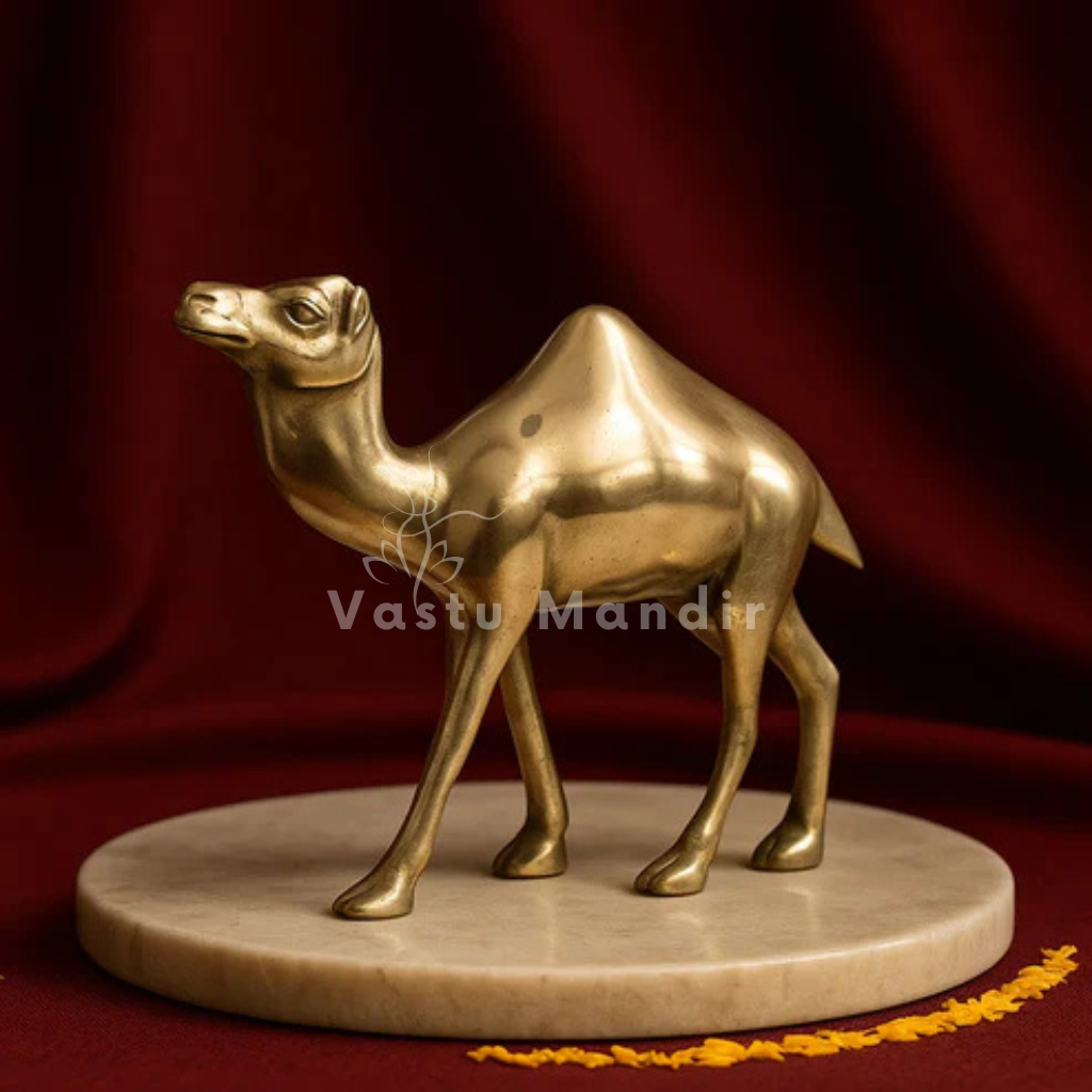 Plain Finish Camel 100% Pure Brass Statue Idol Decorative Showpiece for Home, Office and Gifting by Vastu Mandir