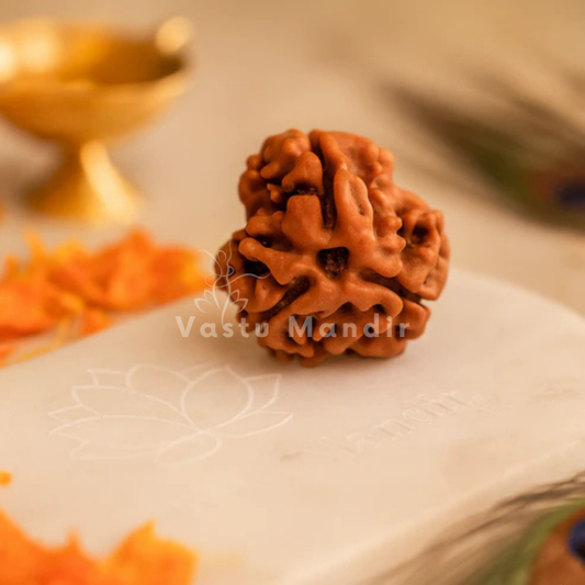 3 Mukhi Rudraksha – Certified Original Natural Three Face Rudraksha Bead for Confidence, Energy & Healing by Vastu Mandir