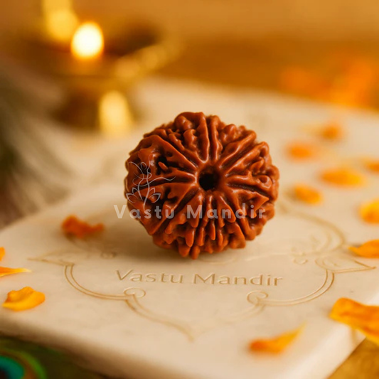9 Mukhi Rudraksha – Original Nine Face Rudraksha Bead for Power, Protection & Spiritual Growth by Vastu Mandir