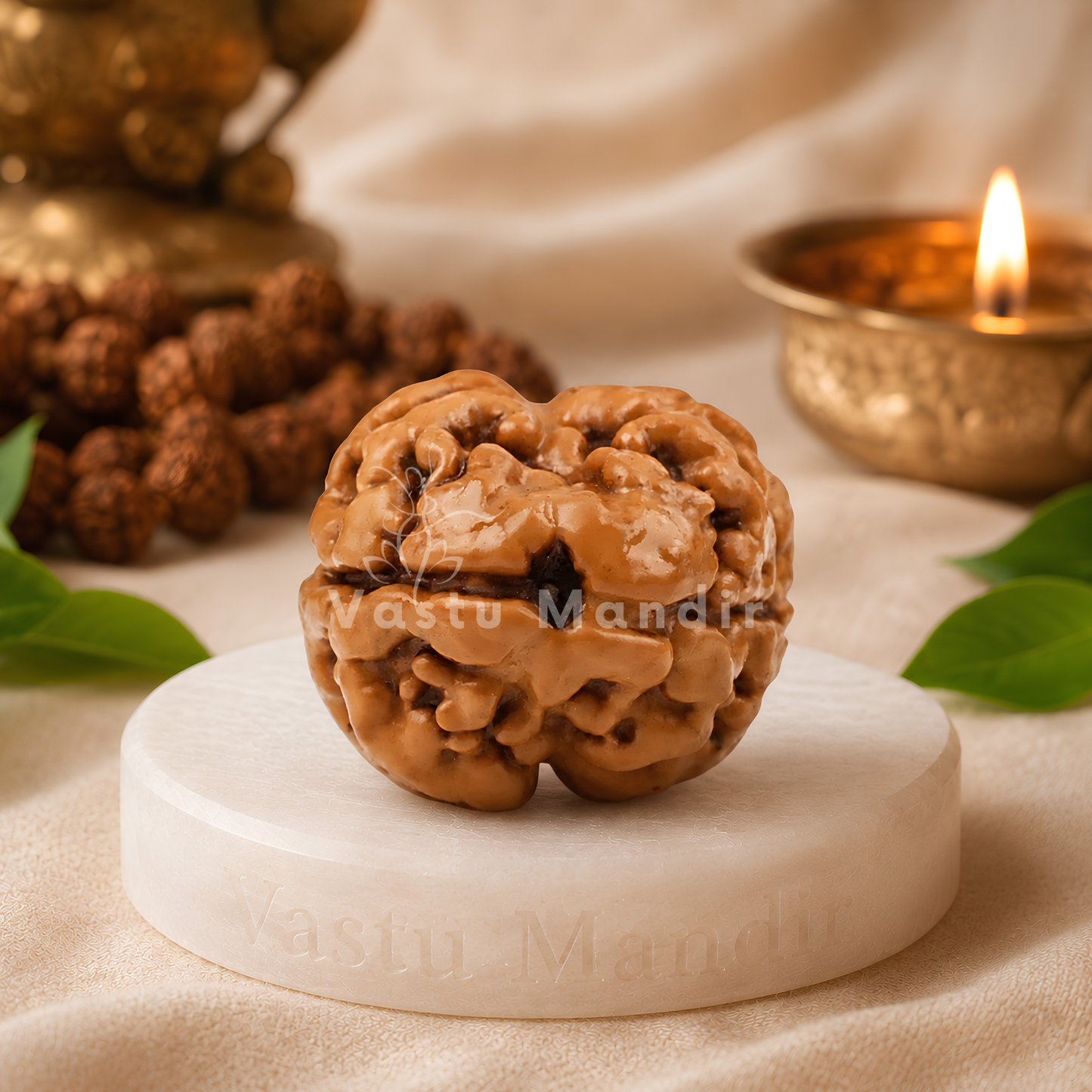 X-Ray Verified 2 Mukhi Rudraksha – Vastu Remedy for Marital Harmony & Relationship Unity | Ideal for South-West Couples Zones