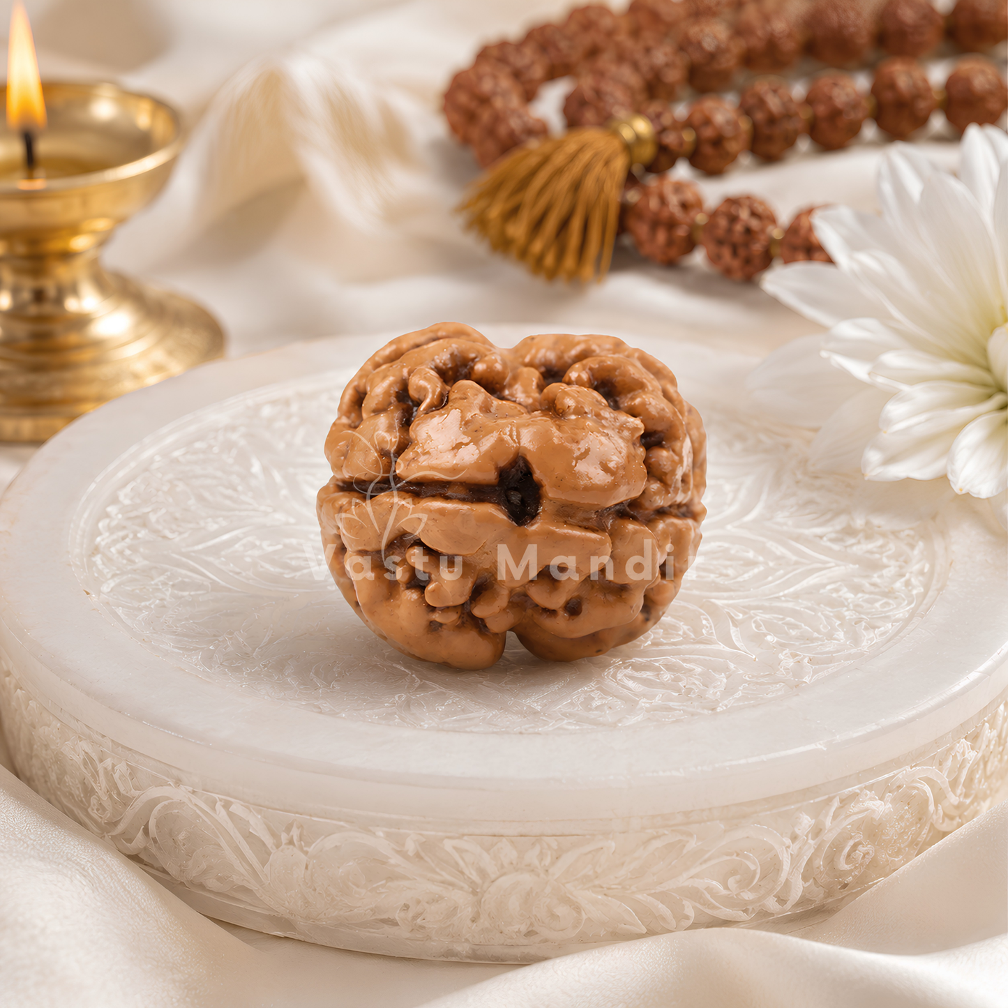 X-Ray Verified 2 Mukhi Rudraksha – Vastu Remedy for Marital Harmony & Relationship Unity | Ideal for South-West Couples Zones