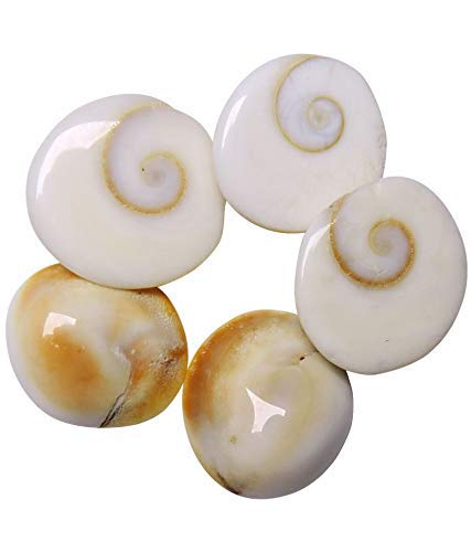 GOMATI CHAKRA (1 kg)