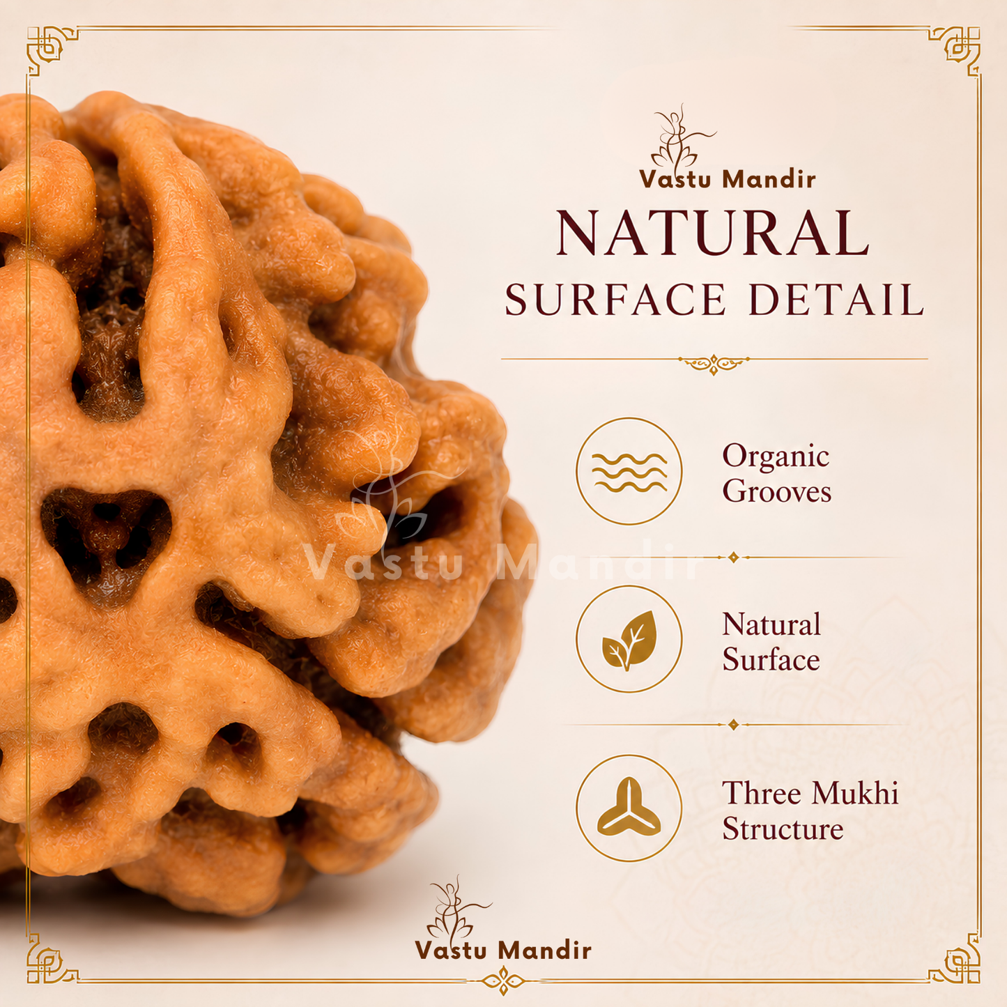 Authentic 3 Mukhi Rudraksha – Vastu Remedy for Confidence Boost & Karma Cleansing | Ideal for South-East Fire Element Activation
