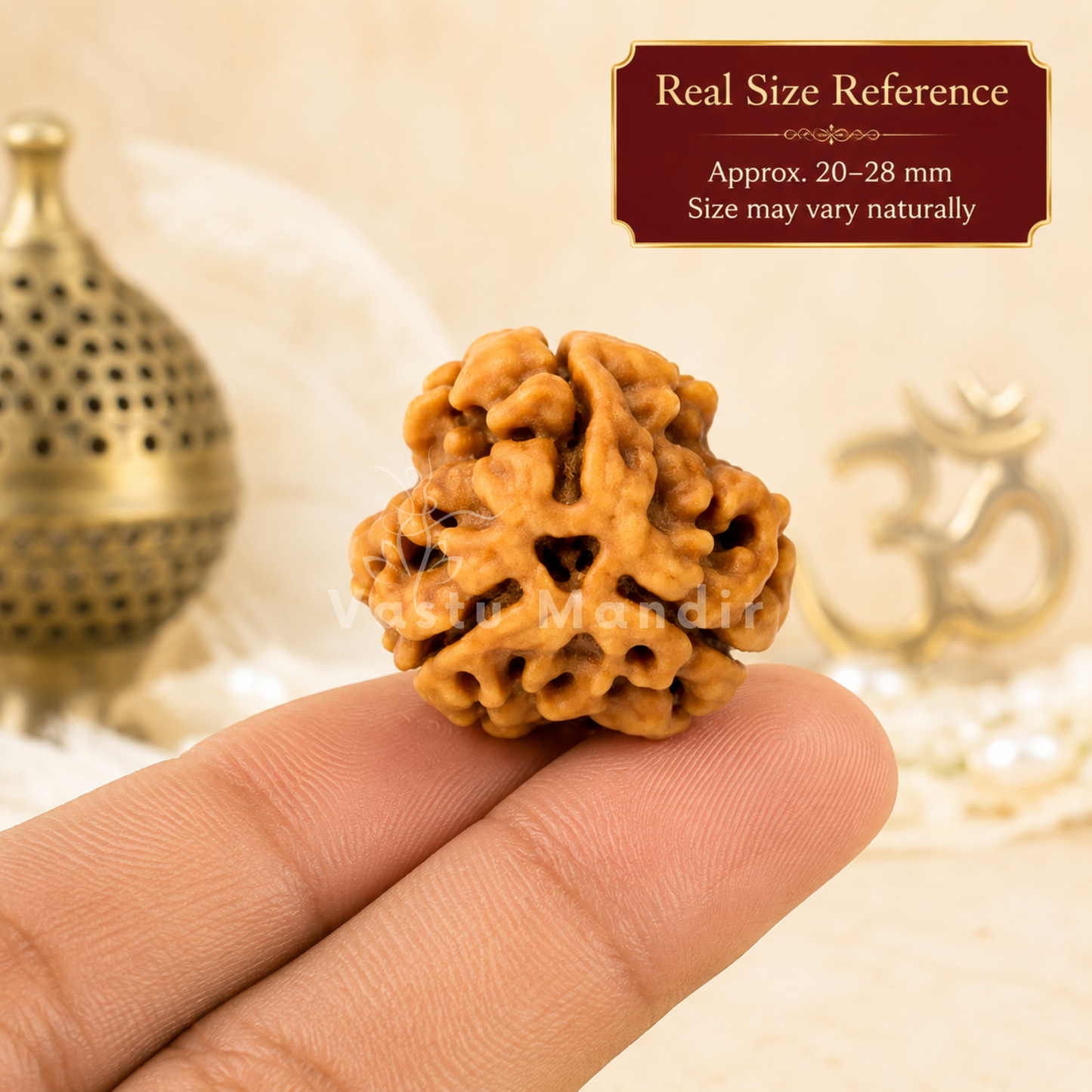 Authentic 3 Mukhi Rudraksha – Vastu Remedy for Confidence Boost & Karma Cleansing | Ideal for South-East Fire Element Activation