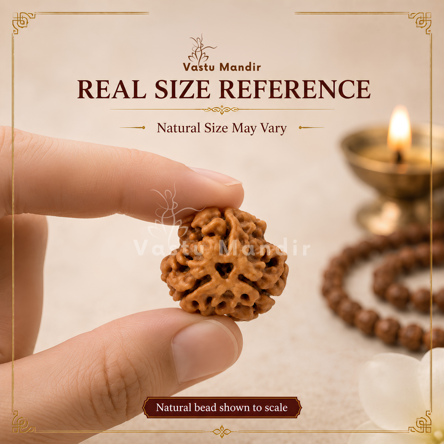 Authentic 3 Mukhi Rudraksha – Vastu Remedy for Confidence Boost & Karma Cleansing | Ideal for South-East Fire Element Activation