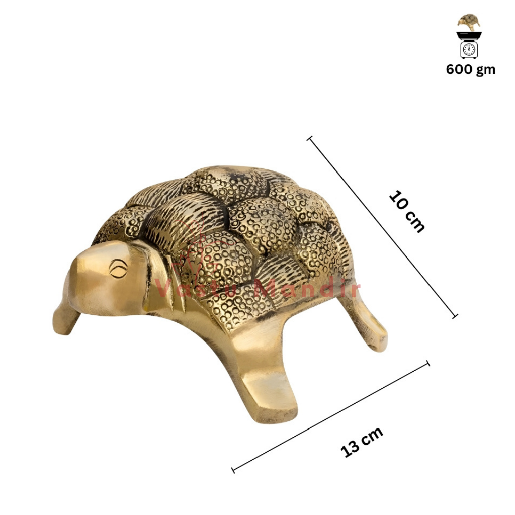 Small Turtle 100% Pure Brass Statue with dimensions and weight on a white background