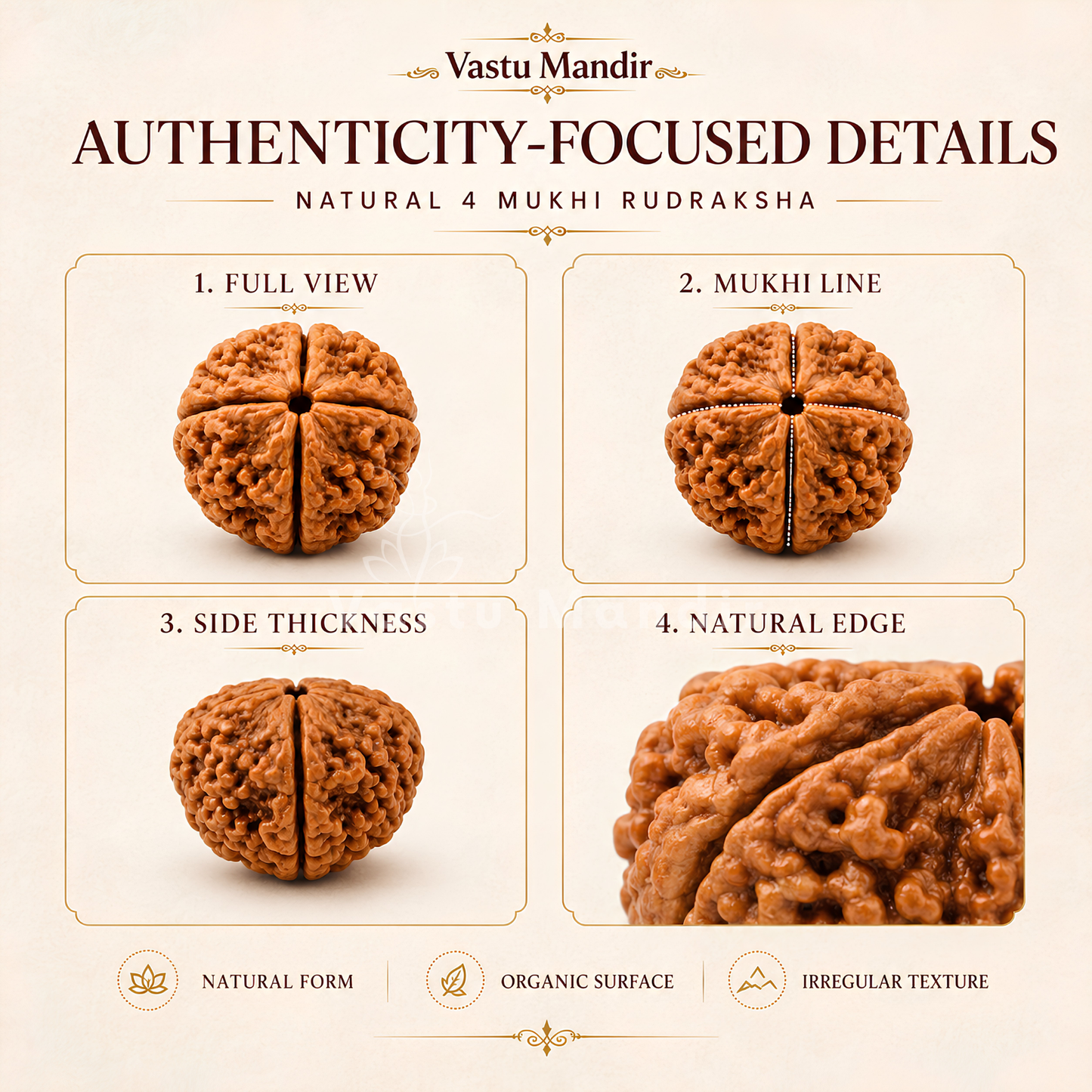 Lab Tested 4 Mukhi Rudraksha – Vastu Remedy for Knowledge, Creativity & Memory Power | Ideal for North-East Study Rooms