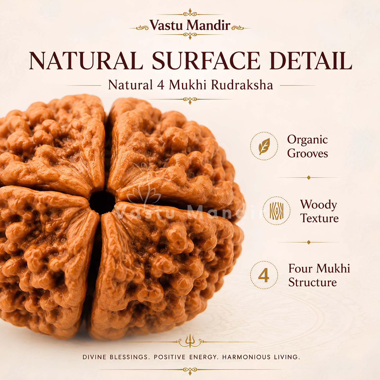 Lab Tested 4 Mukhi Rudraksha – Vastu Remedy for Knowledge, Creativity & Memory Power | Ideal for North-East Study Rooms