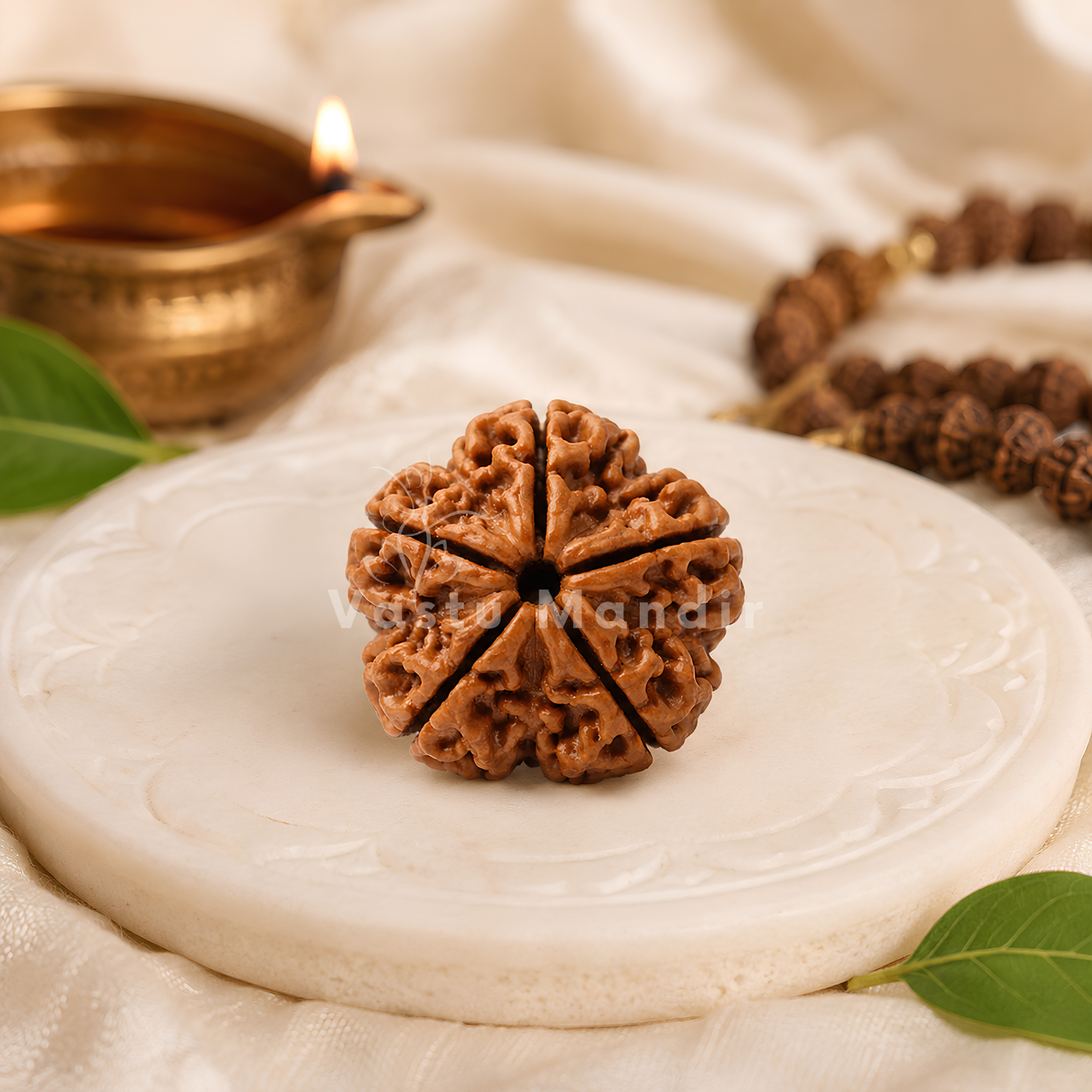 Nepali 5 Mukhi Rudraksha – Vastu Remedy for Health Protection & Jupiter Balance | Ideal for East Direction Healing