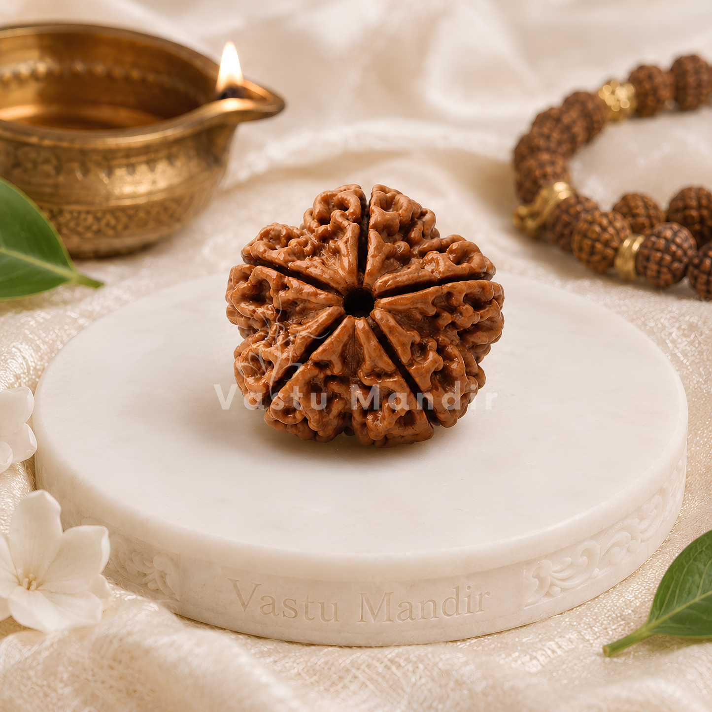Nepali 5 Mukhi Rudraksha – Vastu Remedy for Health Protection & Jupiter Balance | Ideal for East Direction Healing