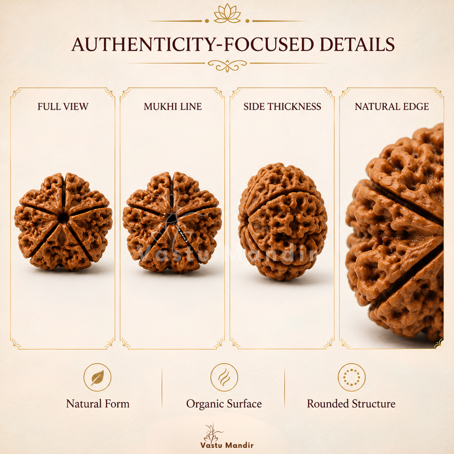 Nepali 5 Mukhi Rudraksha – Vastu Remedy for Health Protection & Jupiter Balance | Ideal for East Direction Healing