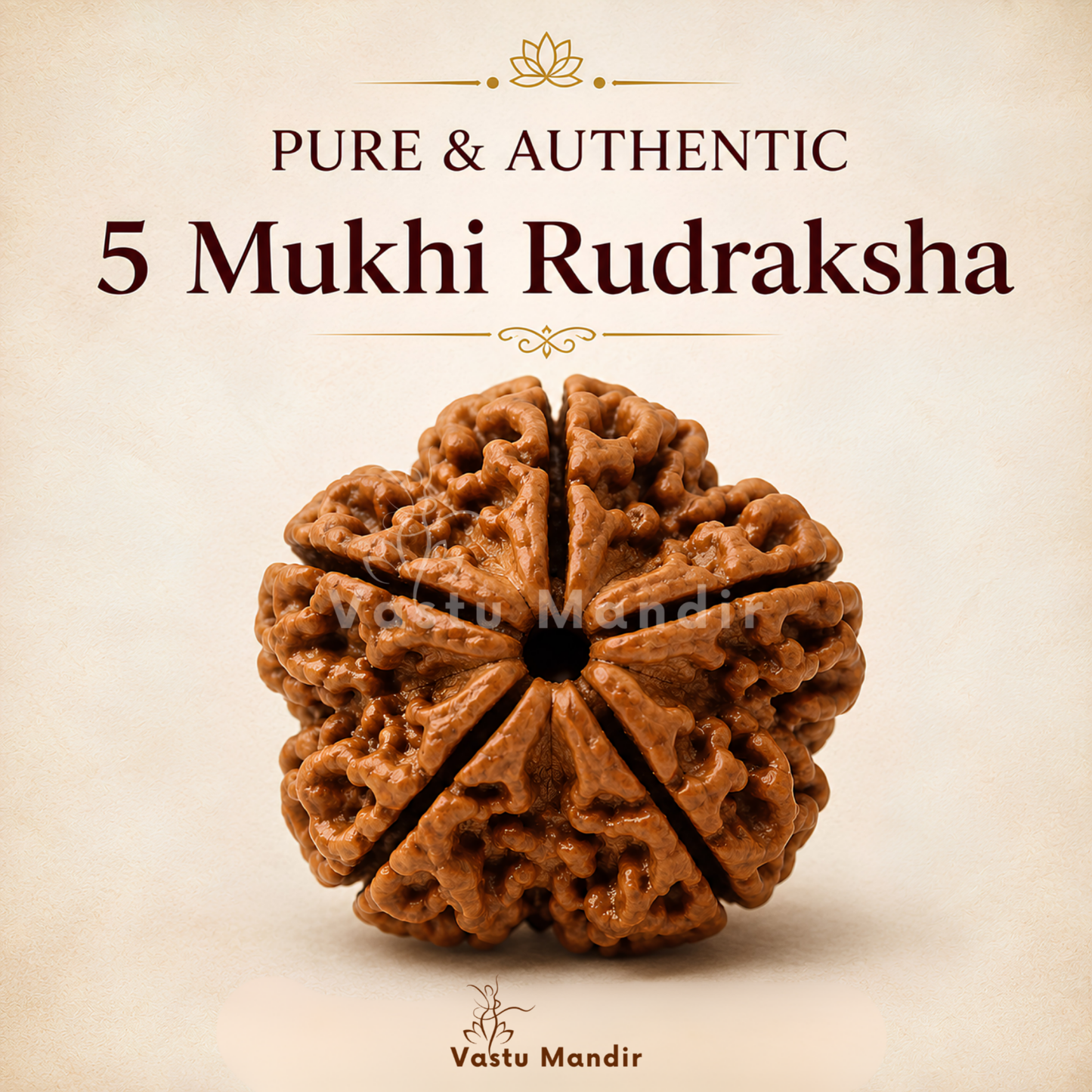 Nepali 5 Mukhi Rudraksha – Vastu Remedy for Health Protection & Jupiter Balance | Ideal for East Direction Healing