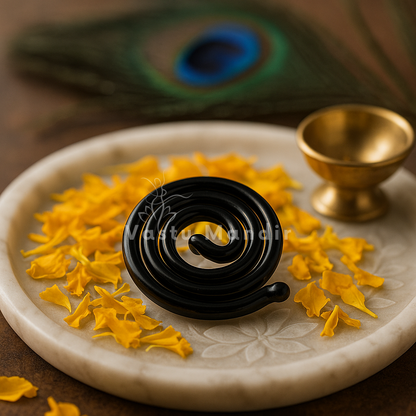 Sacred Black Vastu Coil Spring