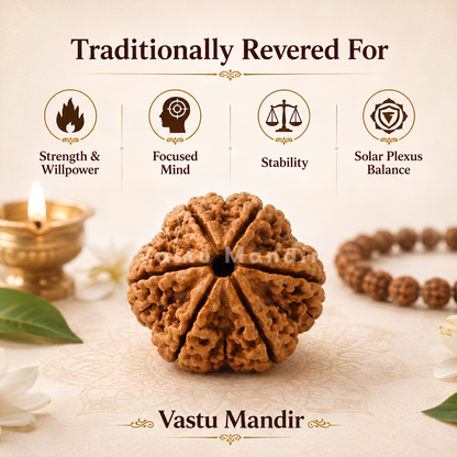 Original 6 Mukhi Rudraksha – Vastu Remedy for Career Success & Willpower Strength | Ideal for South-East Office Desks