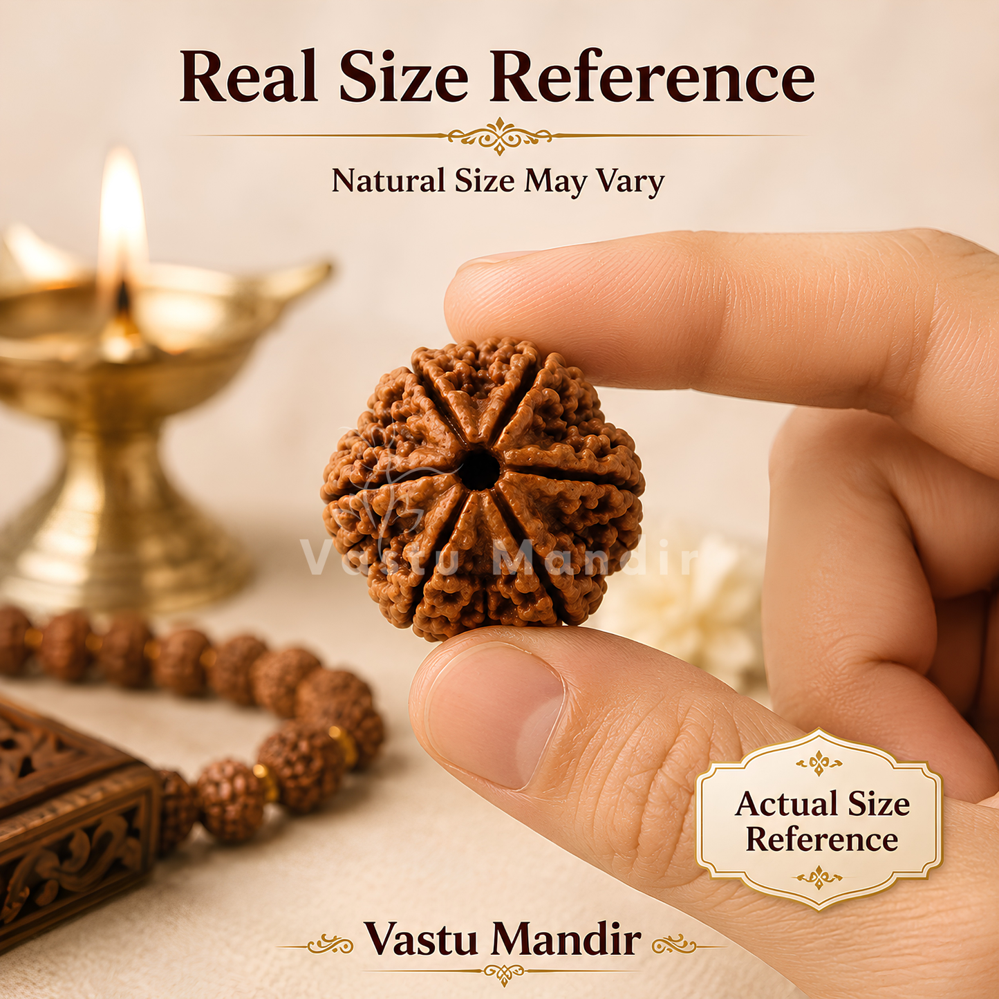 Original 6 Mukhi Rudraksha – Vastu Remedy for Career Success & Willpower Strength | Ideal for South-East Office Desks