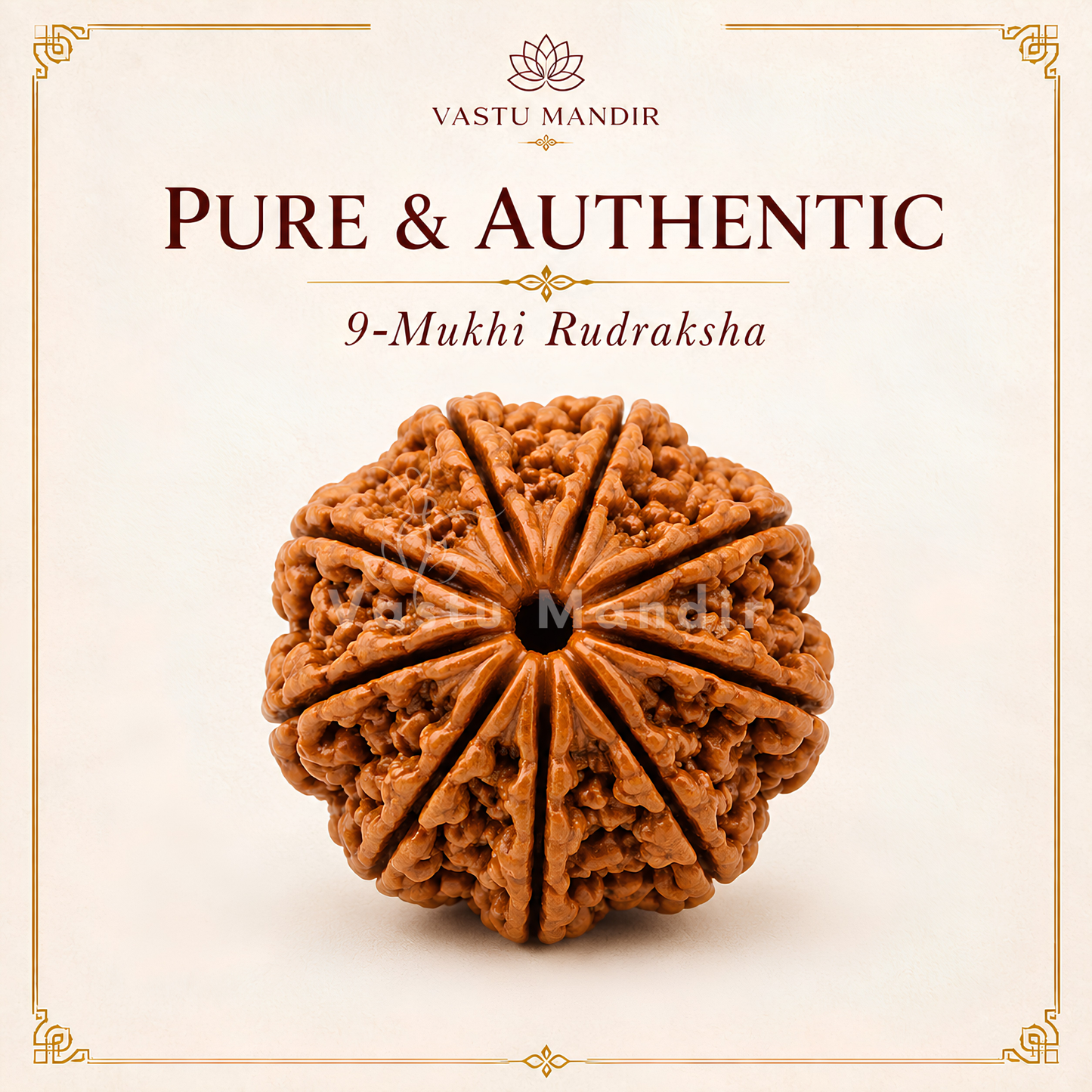 Certified 9 Mukhi Rudraksha – Vastu Remedy for Power, Courage & Durga Protection | Ideal for South Direction Strength