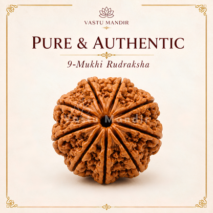 Certified 9 Mukhi Rudraksha – Vastu Remedy for Power, Courage & Durga Protection | Ideal for South Direction Strength