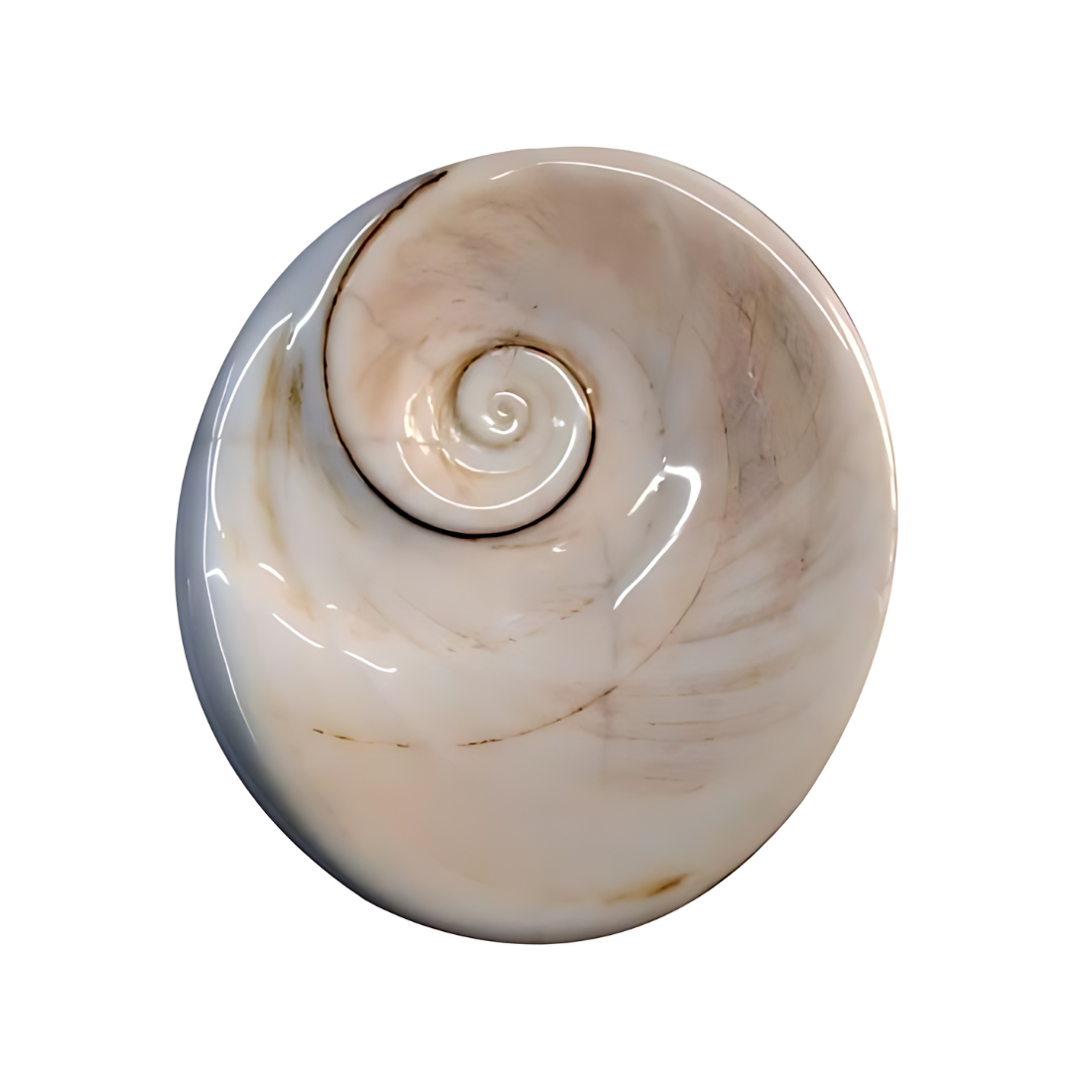 gomti chakra, vastu mandir gomti chakra, vastu beefits, gomti stone for ring or Jewelry, vastu positive crystal stones, vastu mandir, raja gomti chakra stone
