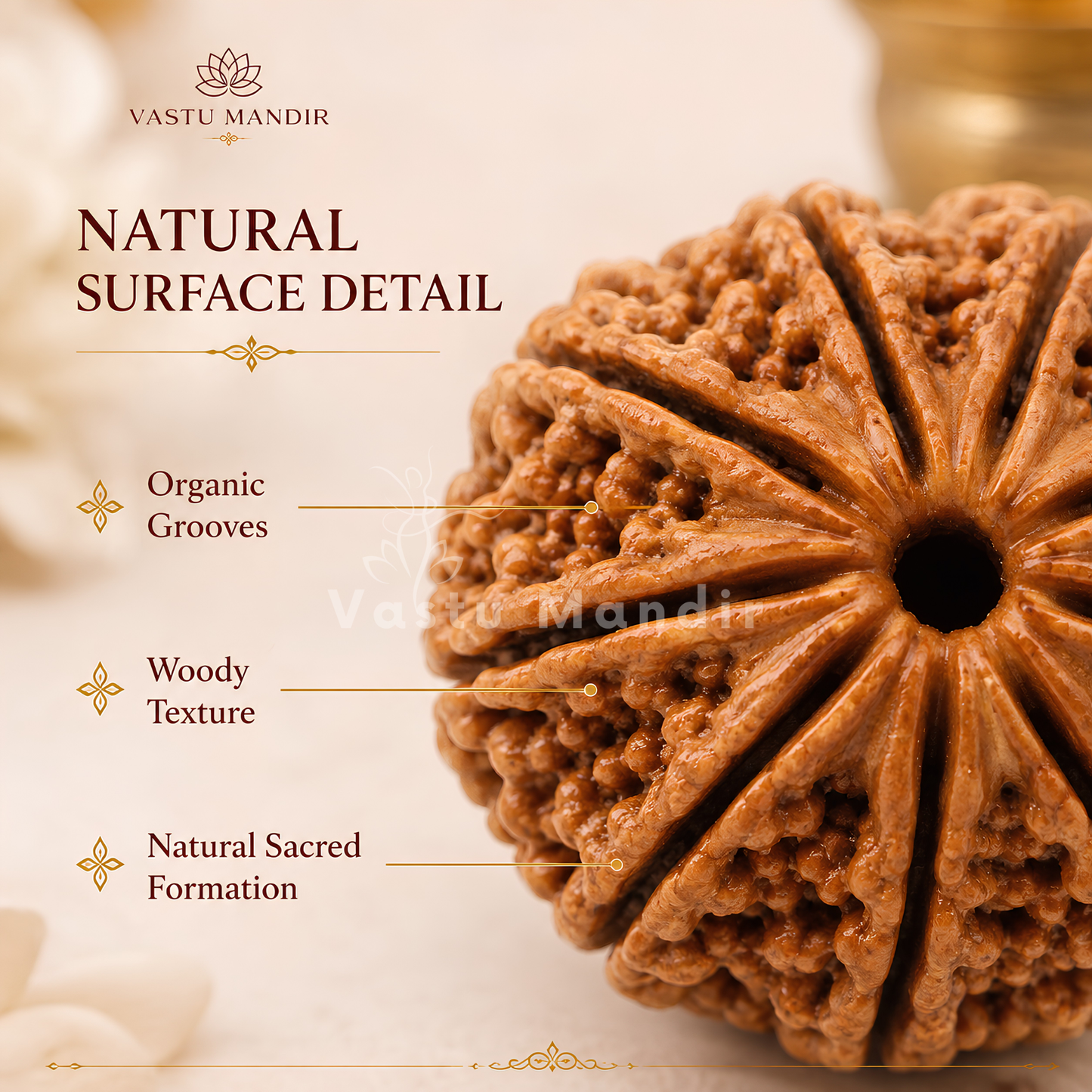 Certified 9 Mukhi Rudraksha – Vastu Remedy for Power, Courage & Durga Protection | Ideal for South Direction Strength