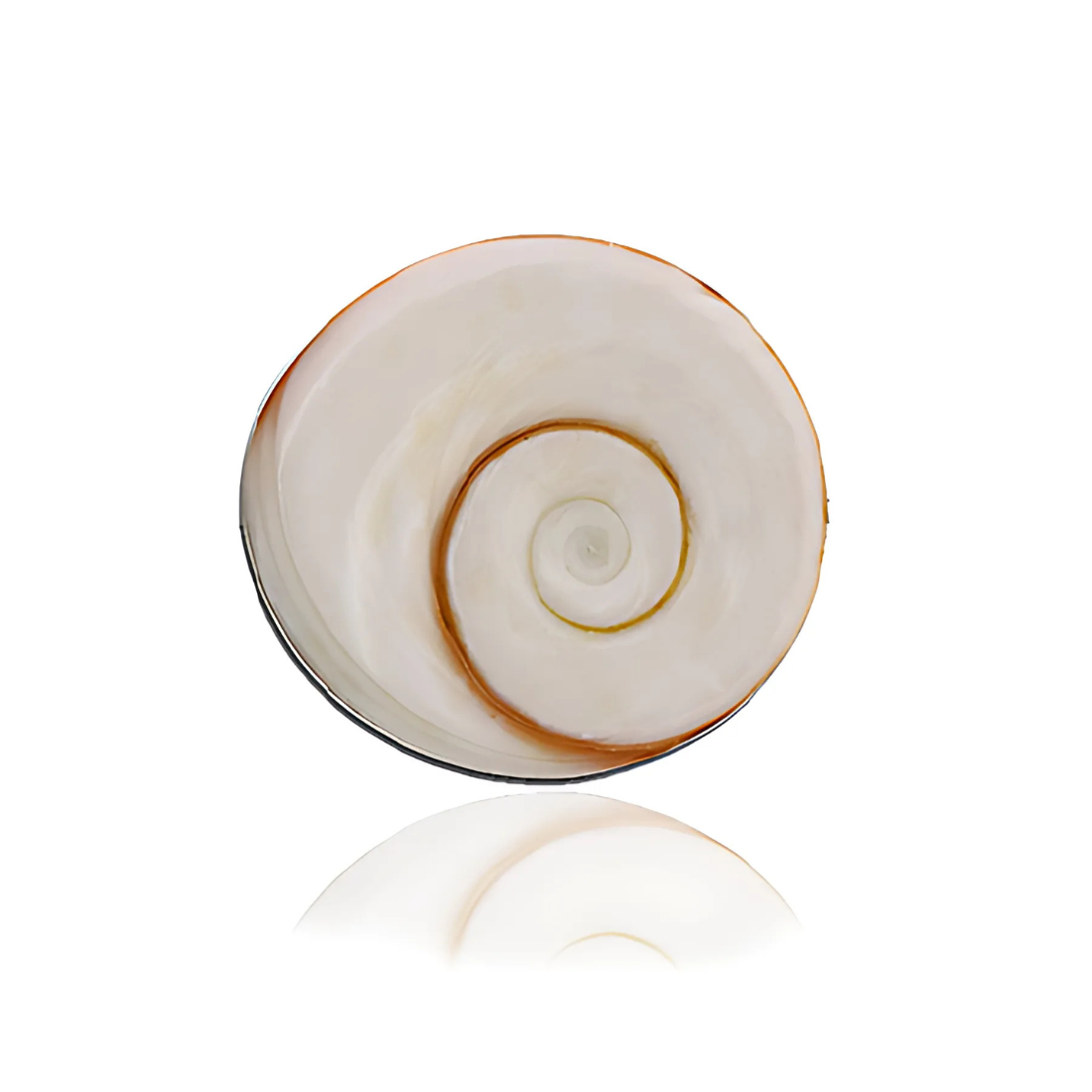  Gomati Chakra, gemstone, vastu stone, real gemstones, vastu mandir gomti chakra, vastu beefits, gomti stone for ring or Jewelry, vastu positive crystal stones, vastu mandir, raja gomti chakra stone