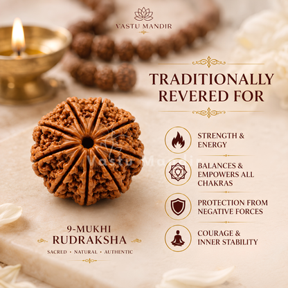 Certified 9 Mukhi Rudraksha – Vastu Remedy for Power, Courage & Durga Protection | Ideal for South Direction Strength