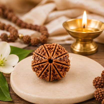 Certified 9 Mukhi Rudraksha – Vastu Remedy for Power, Courage & Durga Protection | Ideal for South Direction Strength