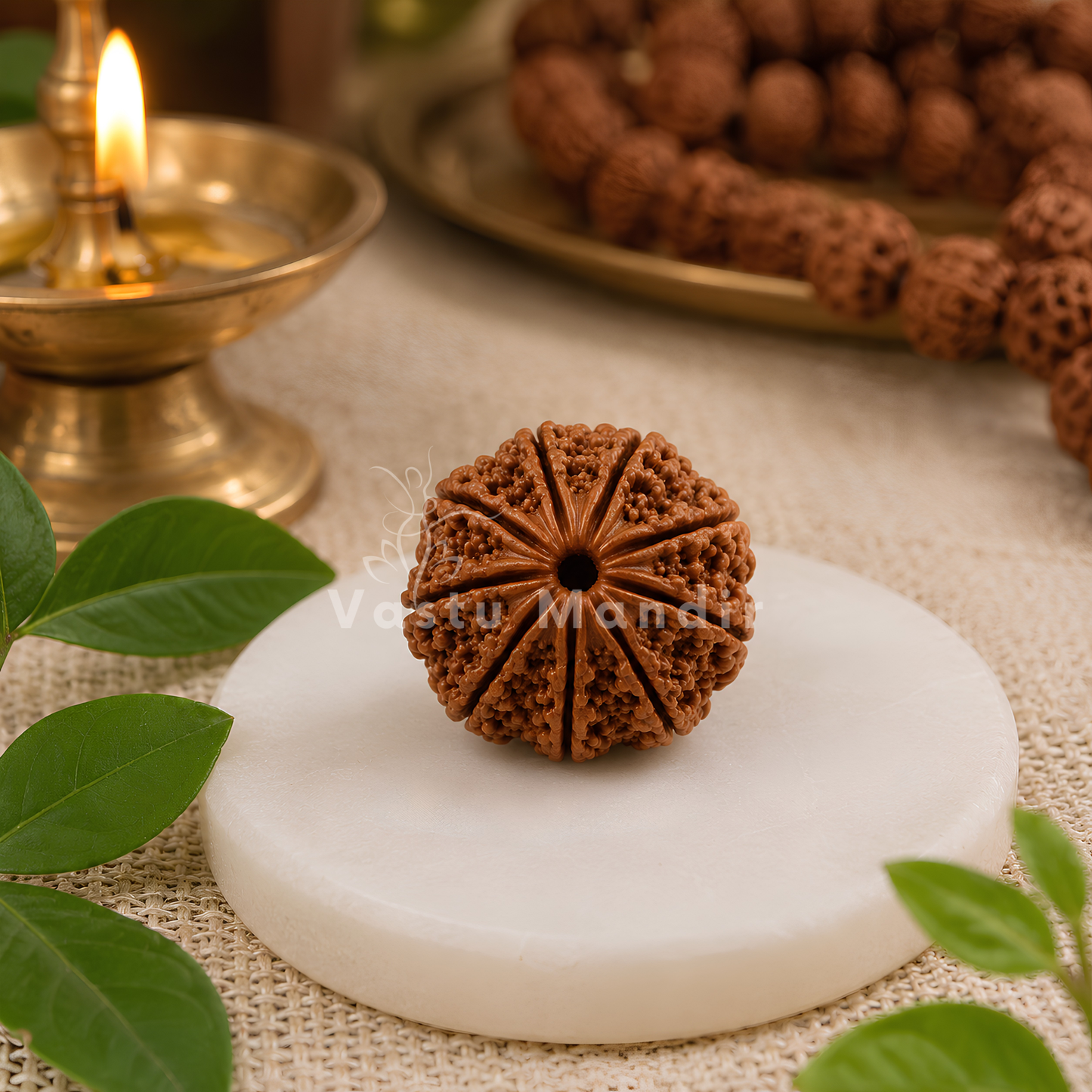 Certified 9 Mukhi Rudraksha – Vastu Remedy for Power, Courage & Durga Protection | Ideal for South Direction Strength