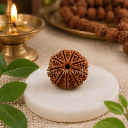 Certified 9 Mukhi Rudraksha – Vastu Remedy for Power, Courage & Durga Protection | Ideal for South Direction Strength