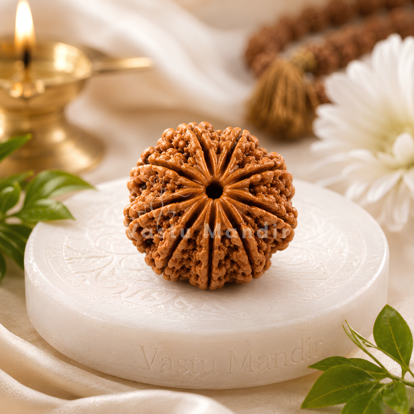 Certified 9 Mukhi Rudraksha – Vastu Remedy for Power, Courage & Durga Protection | Ideal for South Direction Strength