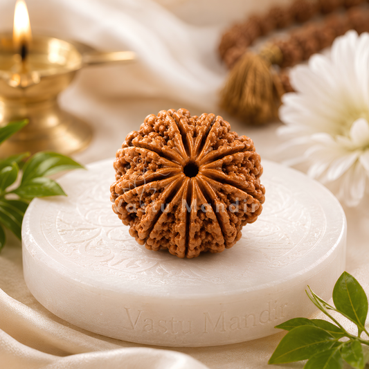 Certified 9 Mukhi Rudraksha – Vastu Remedy for Power, Courage & Durga Protection | Ideal for South Direction Strength