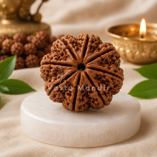 Verified 8 Mukhi Rudraksha – Vastu Remedy for Obstacle Removal & Ganesha Blessings | Ideal for Main Entrance Protection